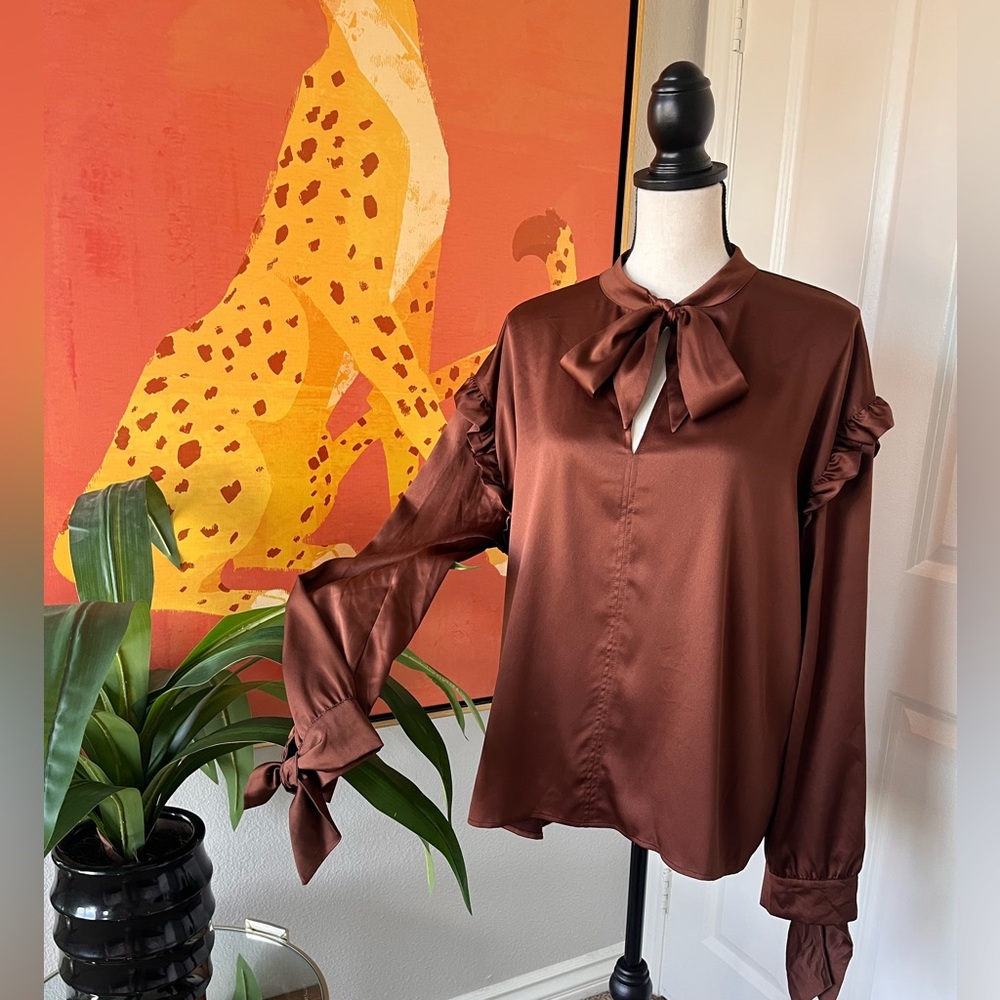 Express Brown Long Sleeve Satin Blouse Size L Ruffles Bow Ties NWT - Picture 2 of 9